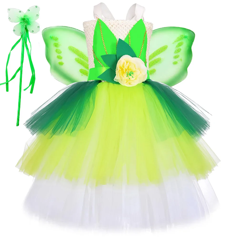 The Princess and The Frog Dress