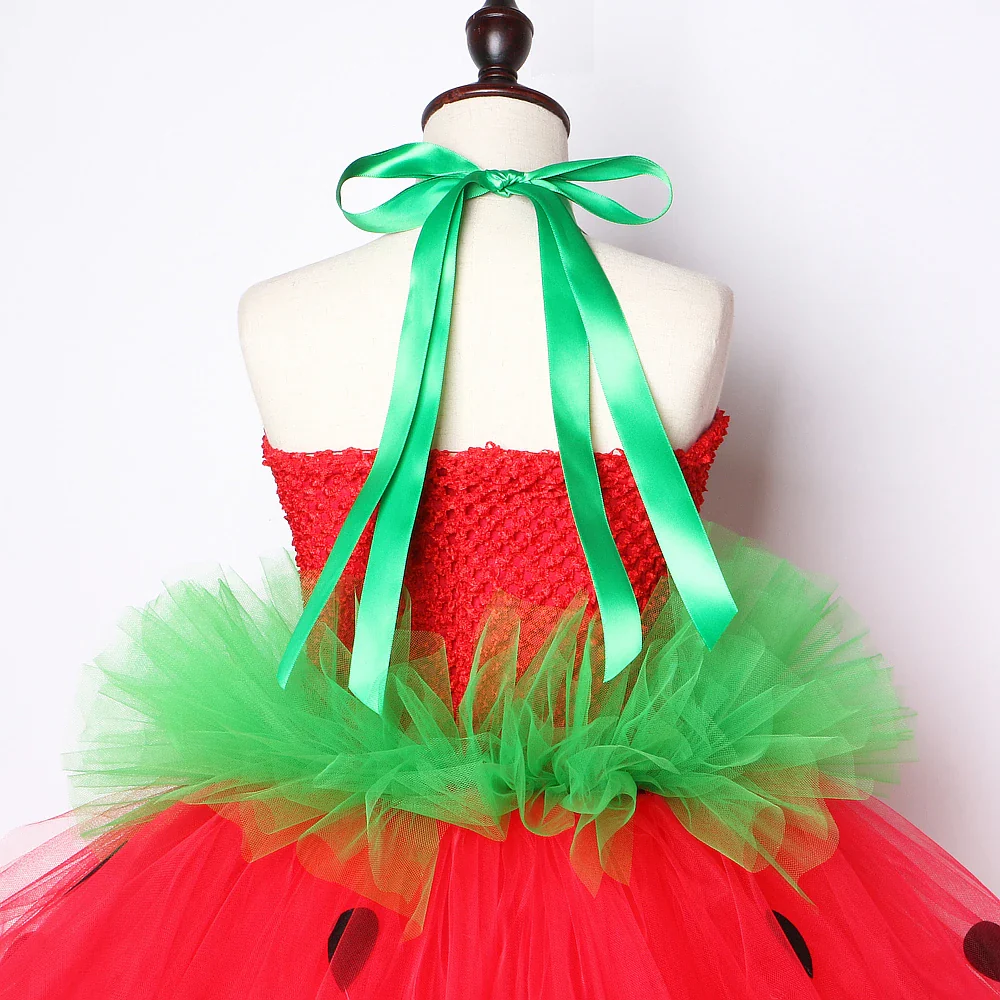Watermelon tutu dress - Image 6